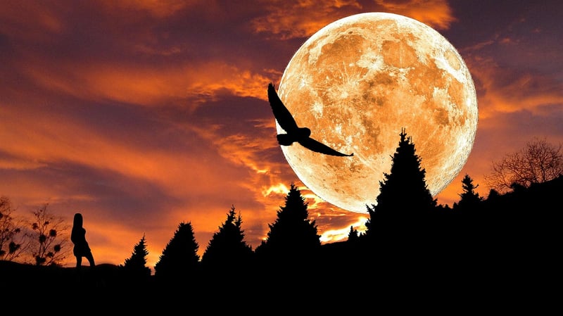 Fairy-tale Silhouettes
